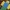 Portachiavi apri lattine Roblox Noob Multicolore stampa facile