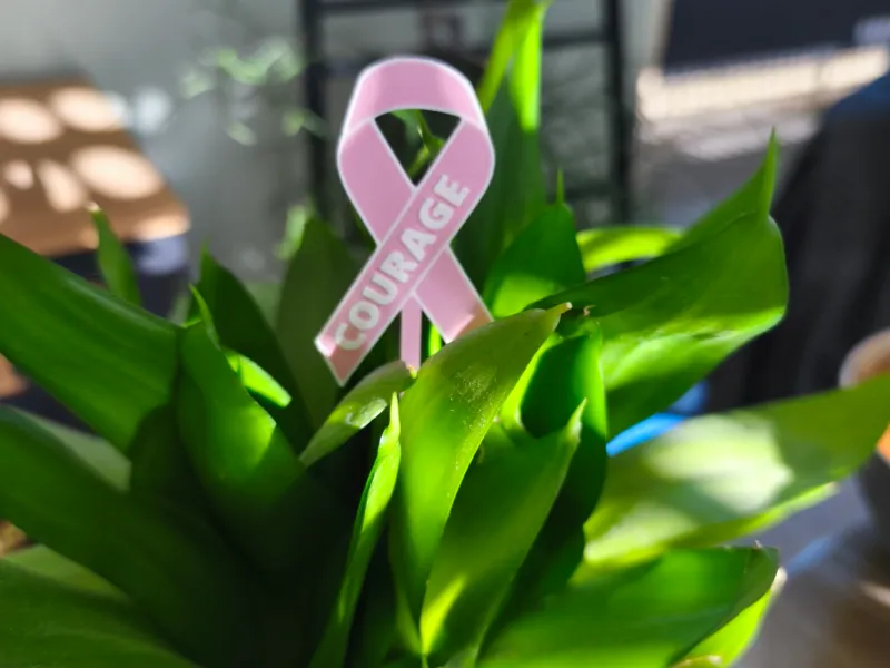 Piquet de plante courage ruban rose