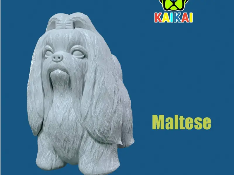 Maltese dog model - 3D print