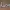 루카스 디즈니 이름