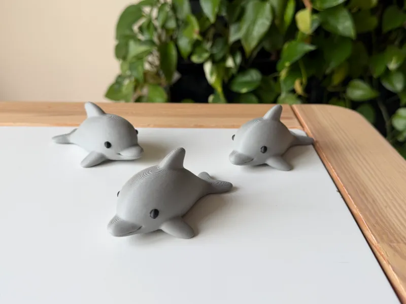 Dolphin