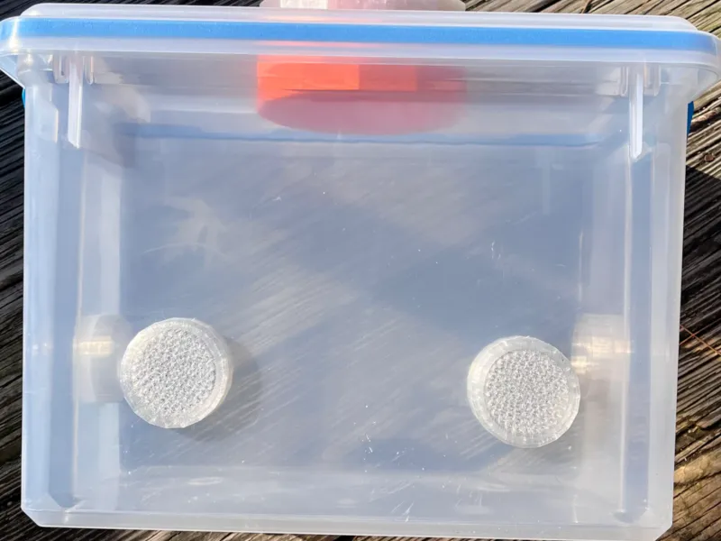 Griglie di ventilazione per insetti e blatte per terrari fai-da-te