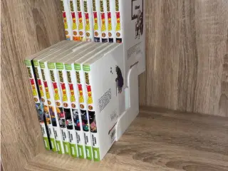 Support Livre Manga