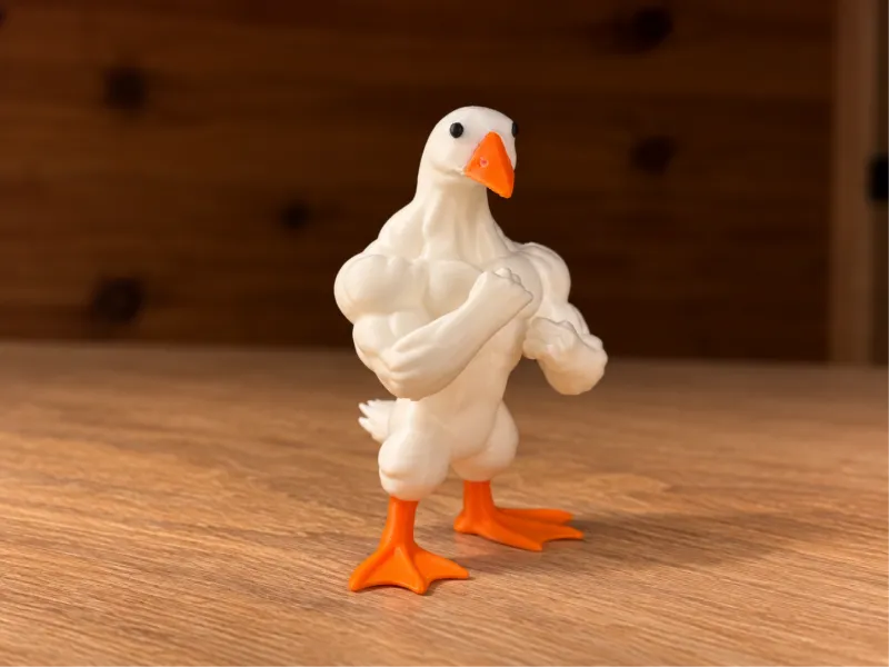 Pato de Academia