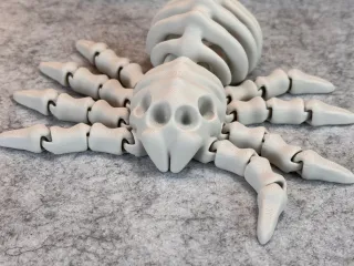 Flexi Skeleton Spider V2