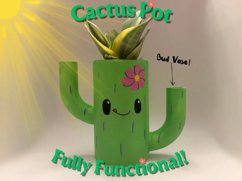 Pot à cactus