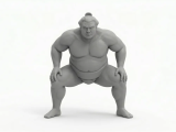 Sumo wrestler-0
