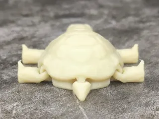 Box Turtle