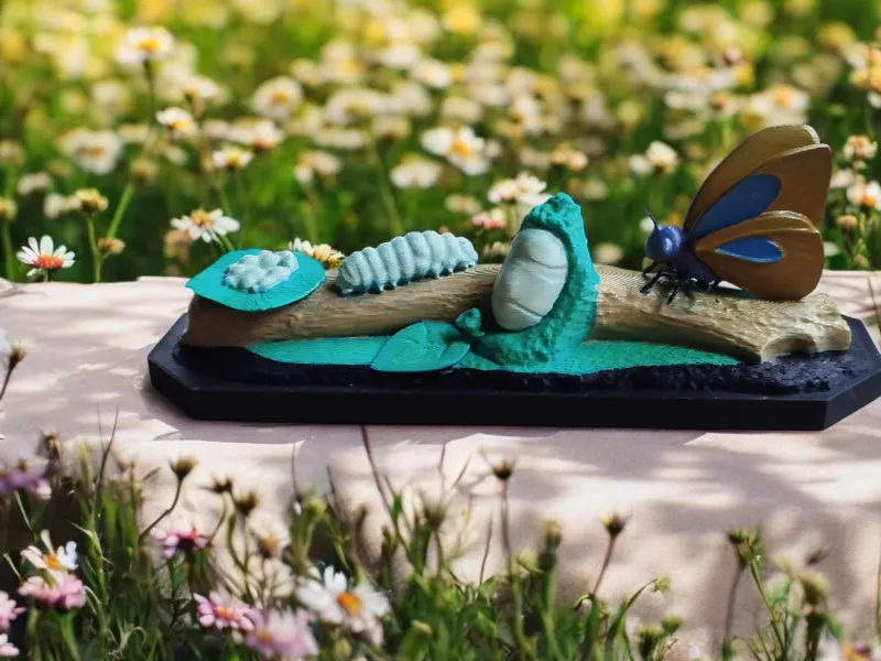 Butterfly Life Cycle – Educational Model