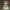 Akuma – Street Fighter Character Figurine