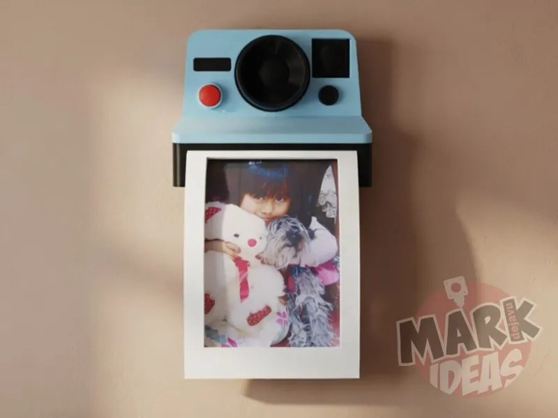 CUADRO CAMARA POLAROID