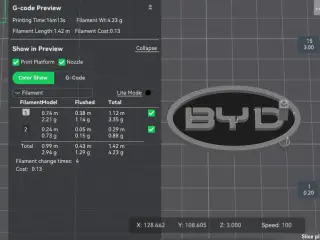 BYD keychain