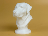 Labrador Retriever Bust-0