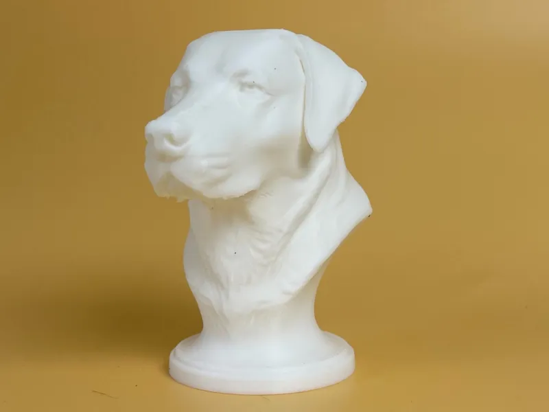 Labrador Retriever Bust