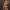 Fantasy Elf Girl – Adult Collectible STL Figure