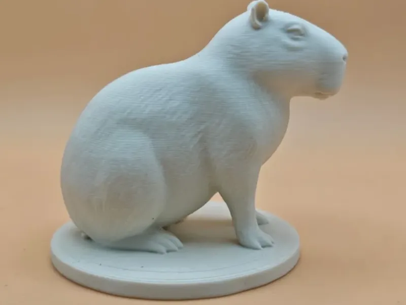 Cute Capybara - Animal Collection