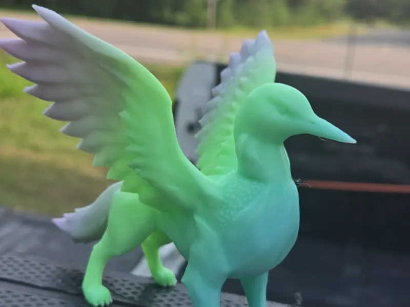 Griffon d'Amérique du Nord