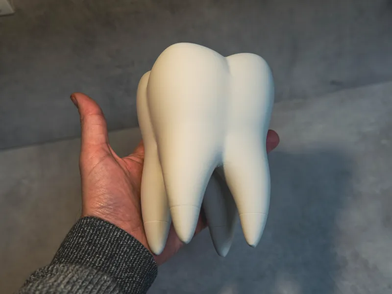 The Tooth