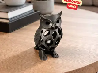 VORONOI OWL