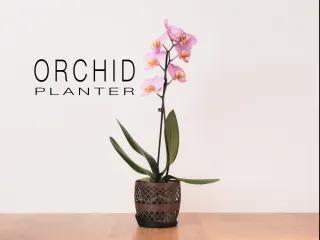 Orchid Planter