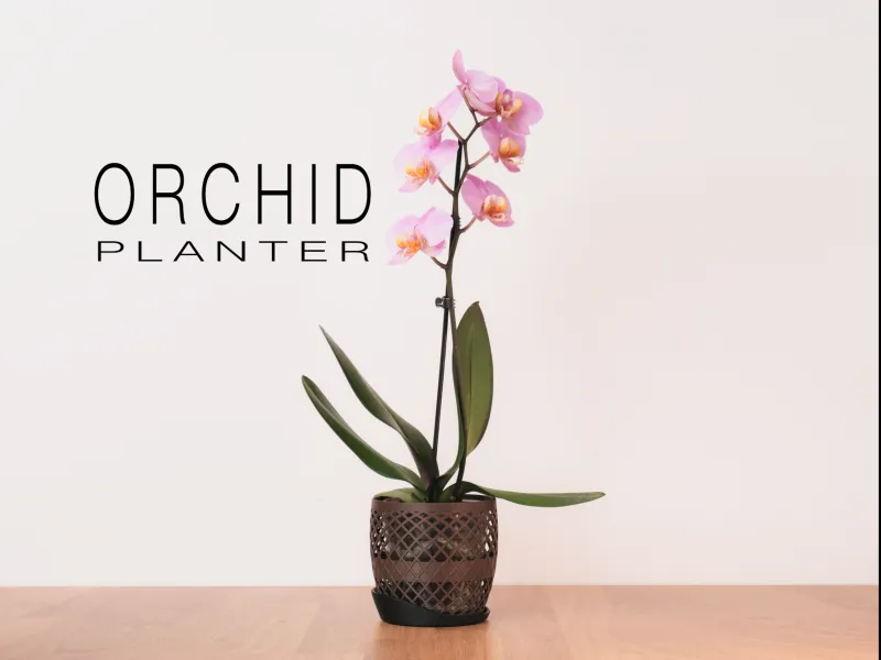 Orchid Planter