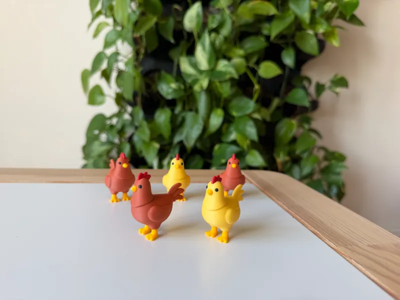 Chicken