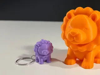 Cute Lion