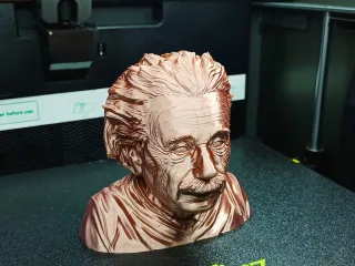 Albert Einstein Support Free