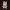 Cat Forest