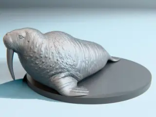 Walrus