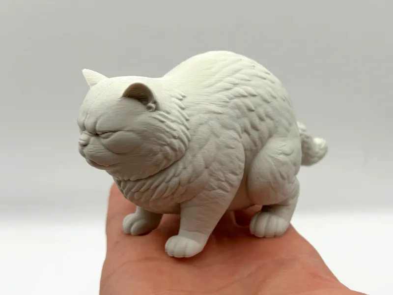 The Cat 3