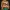 Blonde Frau mit Brille