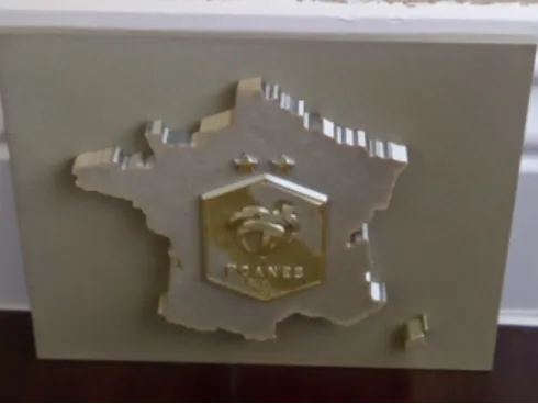 FFF Logo On Outline of France