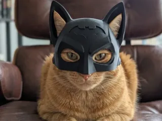 Шлем Бэтмена для кошек