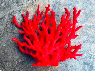 Scarlet Red Coral Aquarium Decoration