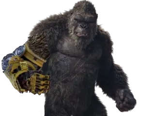 Kong