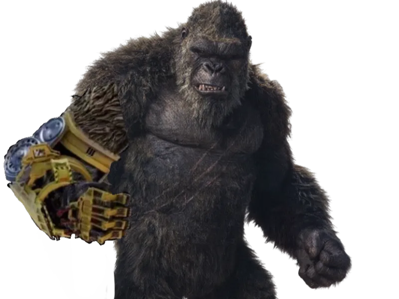 Kong