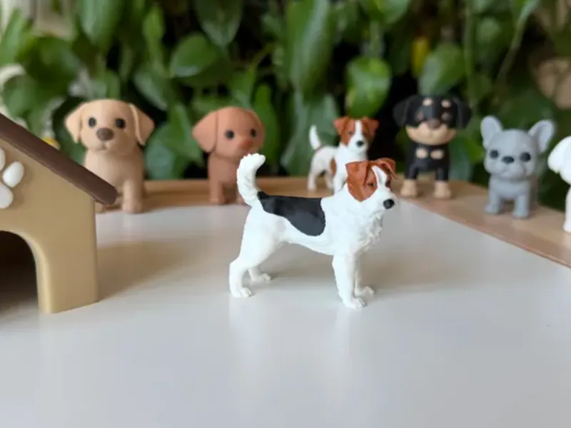 Fox Terrier