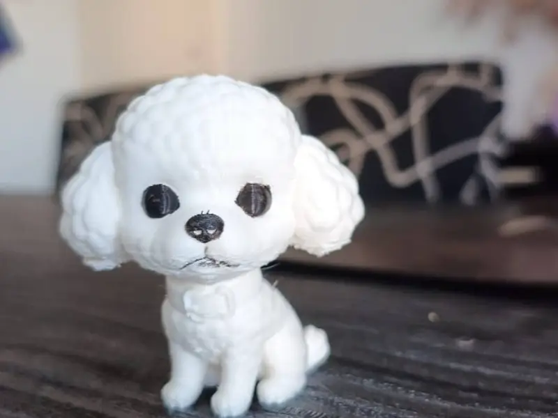 Pichicha