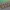 Línea de Dientes de Dragón - Terreno de Wargame Grimdark