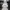Classic-father-christmas-bust-seasonal-plinth