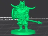 Dwarf_Warrior_K1_PLA_0.12mm-0