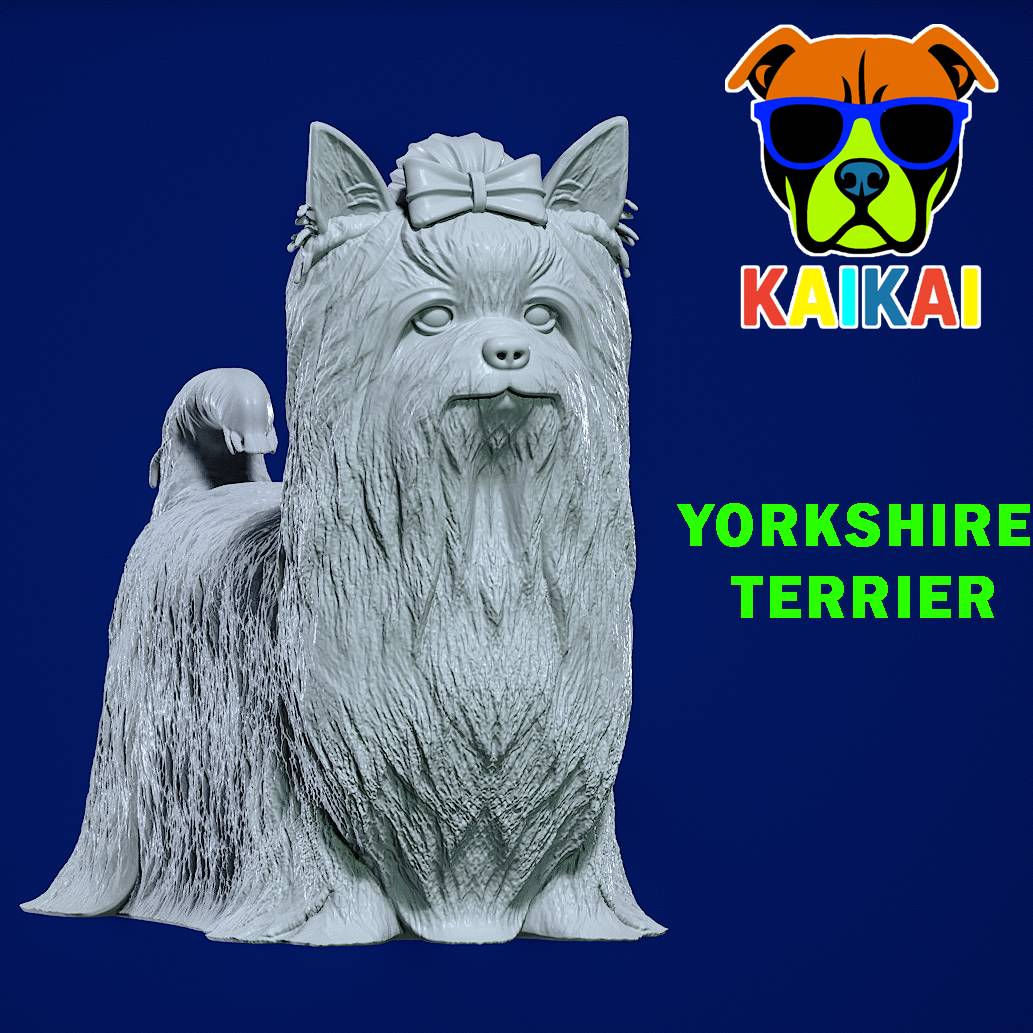 Yorkshire Terrier Dog model - 3D print