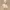 Nude women