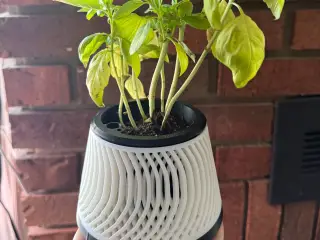 self watering planter