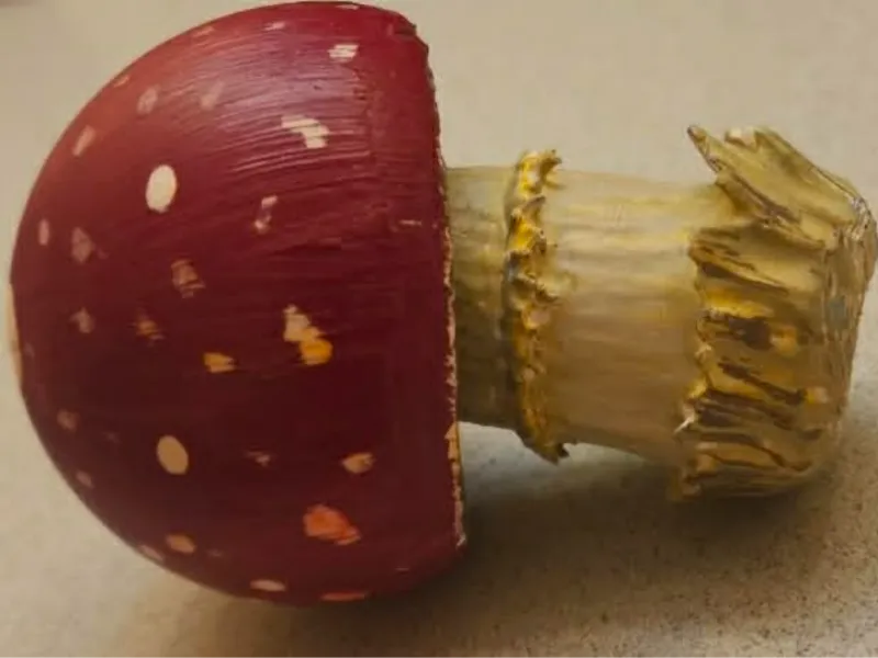 the "reindeer Mushroom"-Natures perfect gift this Christmas!