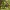 monkey tail 3d modal