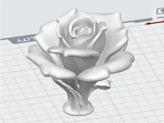Blooming Rose (without a stem)