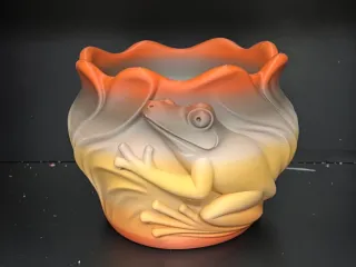 Maceta sapo