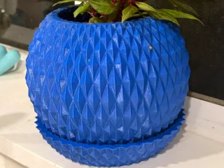 Flower Pot